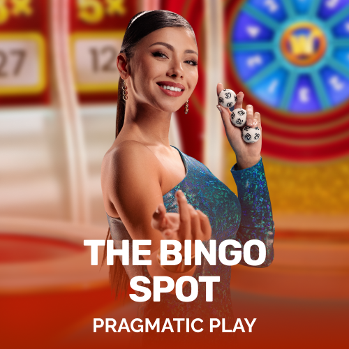The Bingo Spot