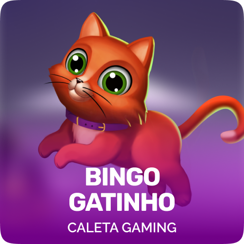 Bingo Gatinho