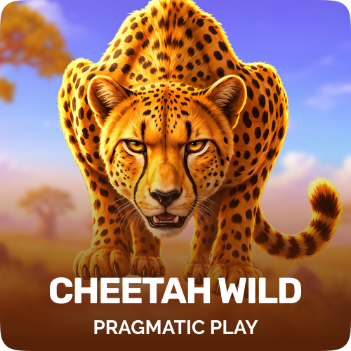 Cheetah Wild