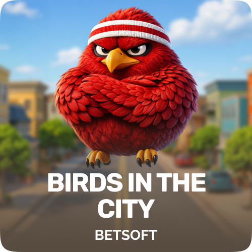 Birds in the City